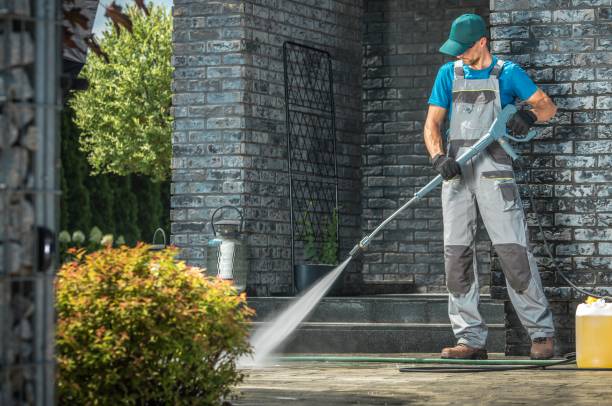 Best Gutter Cleaning and Brightening in Silver Creek, NY